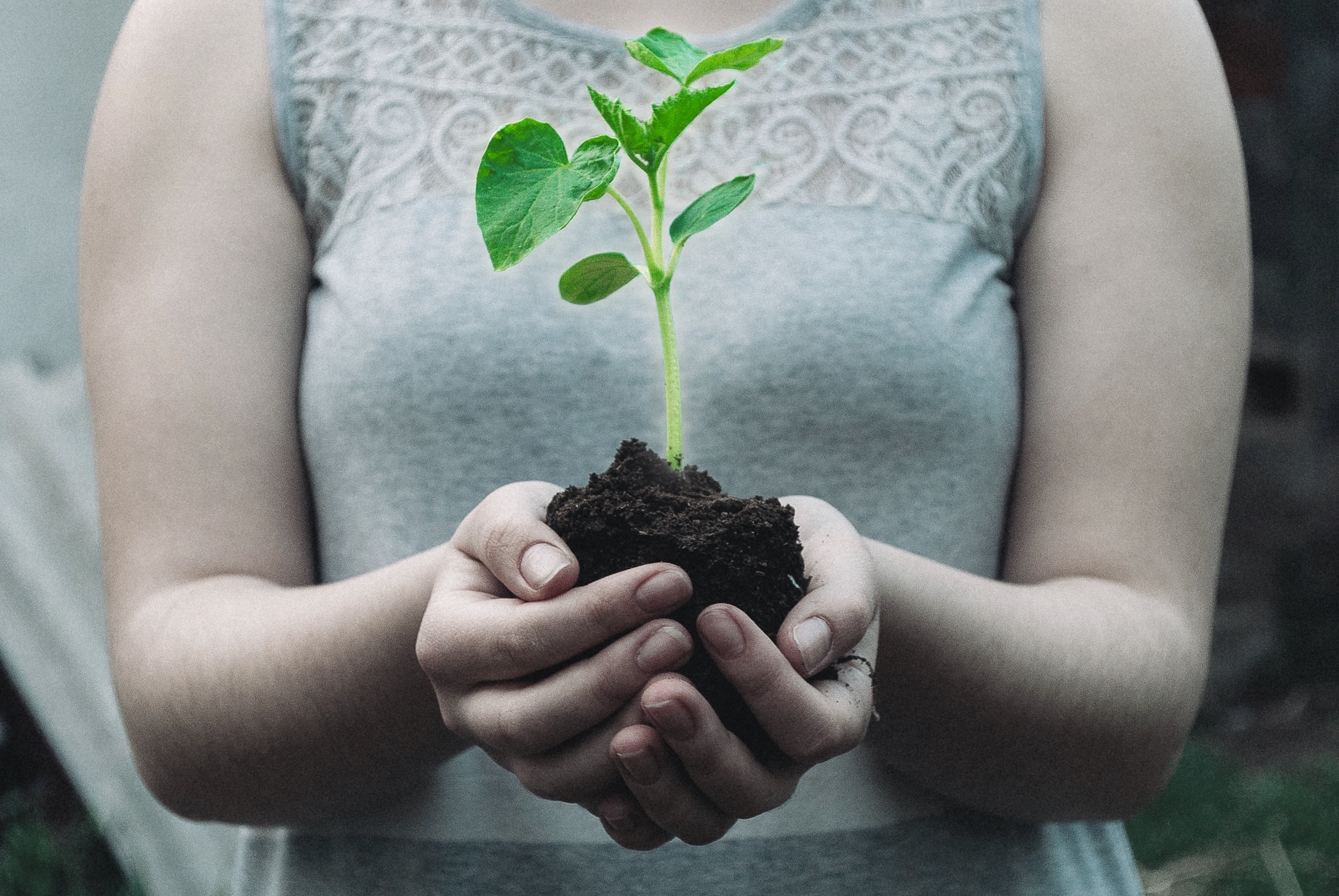 Kvinna som håller i en planta för att beskriva Earth Day och hur man minskar det ekologiska fotavtrycket